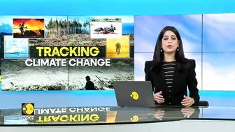 WION Climate Tracker | Vaccines dumped on Peru's Oquendo beach | Latest World News | WION