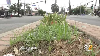 Artesia Boulevard corridor in Long Beach getting long overdue facelift