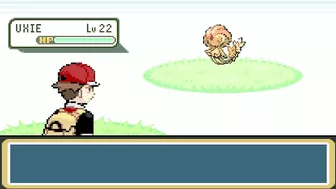 The Nuzlocke Challenge From the Pokemon's POV