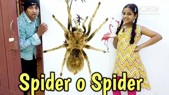 எங்க வீட்ல Spider o Spider ???? | comedy video | funny video | Prabhu Sarala lifestyle