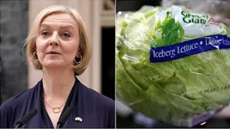 Lettuce rejoice as salad wins challenge and outlasts UK PM Liz Truss