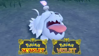 Meet Greavard, the Ghost Dog Pokémon! ????????️ | Pokémon Scarlet & Pokémon Violet