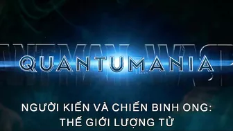 Người Kiến và Chiến Binh Ong: Thế Giới Lượng Tử | Trailer chính thức