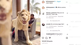 Britney Spears sube video de león encadenado a Instagram y sus fans enfurecen