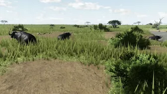 Roblox Wild Savanna - RECODE NEWS ! Aardvark, croc, baboon - Ludi's new video!