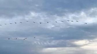 Bonus Video: Halloween 2022 Sunset at Bolsa Chica State Beach