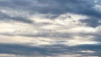 Bonus Video: Halloween 2022 Sunset at Bolsa Chica State Beach