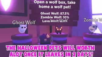 ????*HURRY* DO THIS BEFORE HALLOWEEN UPDATE LEAVES IN 24 HOURS!????ADOPT ME NEW UPDATE RELEASE! ROBLOX