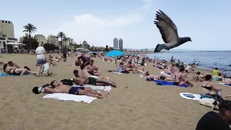 Barcelona Spain - Beach Walking - Summer June 2022