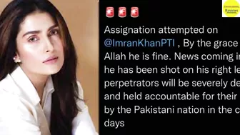 Famous Celebrity Reaction on Imran Khan Shot Incident#Imrankhan #Shahrukhkhan