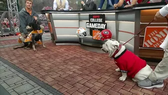 College GameDay's picks for Tennessee vs. Georgia with Luke Bryan | College GameDay