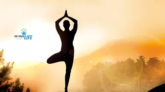 Why Yoga Is Important In Modern Life.? Part-1