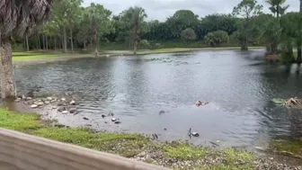 Western communities in Palm Beach County preparing for flooding ahead of Nicole