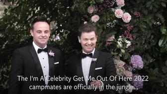 How much are this year's I'm A Celebrity contestants being paid?