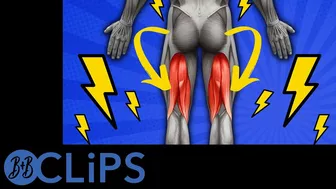 3 Best Hamstring Stretches To Stop Back Pain (Also, The 3 Worst) (B&B Clips)