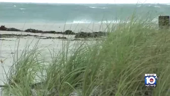 Parts of Fort Lauderdale beach shut down as Hurricane Nicole nears Florida coast