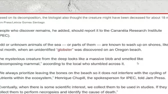 Shocked couple discovers ‘alien hand’ on beach: ‘Looks like ET’s bones!’