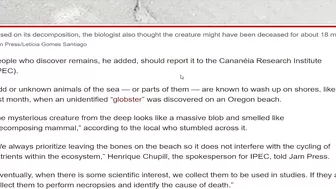 Shocked couple discovers ‘alien hand’ on beach: ‘Looks like ET’s bones!’