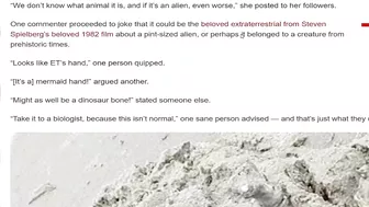 Shocked couple discovers ‘alien hand’ on beach: ‘Looks like ET’s bones!’