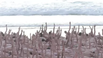 Erstmals 2.500 Menschen nackt am Bondi Beach - einige der besten Bilder