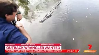 Why celebrity crocodile wrangler Matt Wright is in trouble with police | Sunrise