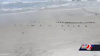 Erosion unearths mysterious object on beach in Daytona Beach Shores