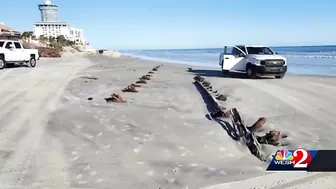 Erosion unearths mysterious object on beach in Daytona Beach Shores