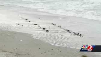 Erosion unearths mysterious object on beach in Daytona Beach Shores