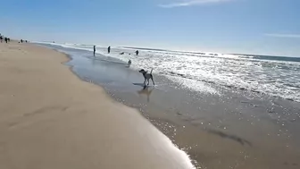 Roxy and Remi go to the beach vlog