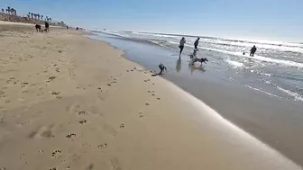 Roxy and Remi go to the beach vlog