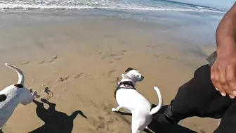 Roxy and Remi go to the beach vlog