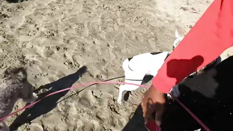 Roxy and Remi go to the beach vlog