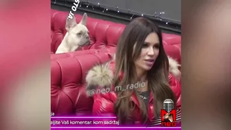 Zadruga 5 - Instagram: Stanija na intervjuu (smešno) - 16.10.2021.