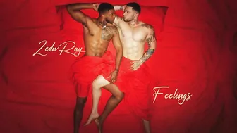 ZednRay - Feelings (Official Audio)