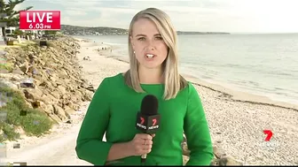 Three sharks spotted close to the shore at Somerton Beach | 7NEWS