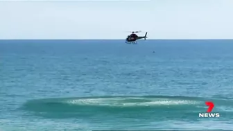 Three sharks spotted close to the shore at Somerton Beach | 7NEWS