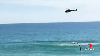 Three sharks spotted close to the shore at Somerton Beach | 7NEWS