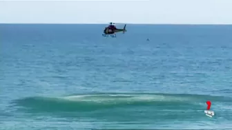 Three sharks spotted close to the shore at Somerton Beach | 7NEWS