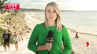 Three sharks spotted close to the shore at Somerton Beach | 7NEWS