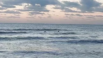 North Florida Surf and Beach Update 715am 10.17.2021