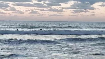 North Florida Surf and Beach Update 715am 10.17.2021