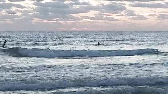 North Florida Surf and Beach Update 715am 10.17.2021