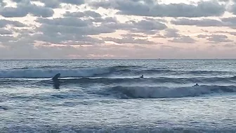 North Florida Surf and Beach Update 715am 10.17.2021