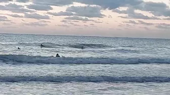 North Florida Surf and Beach Update 715am 10.17.2021