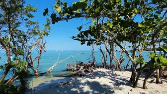 A Beautiful Saturday Morning at the Beach in North Naples, FL 10/16/21