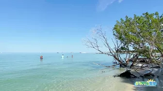 A Beautiful Saturday Morning at the Beach in North Naples, FL 10/16/21