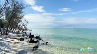 A Beautiful Saturday Morning at the Beach in North Naples, FL 10/16/21