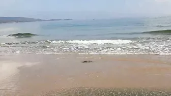 Центральный пляж в октябре, Primorsko Central Beach in October