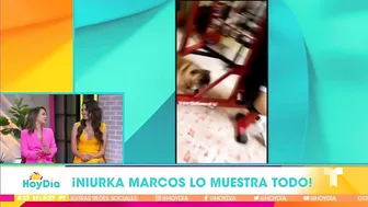 Niurka Marcos enciende las redes con un sensual bikini | Hoy Día | Telemundo