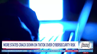 More states crack down on TikTok over cybersecurity risk | Rush Hour